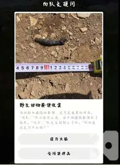 蚂蚁森林保护地巡护答案。