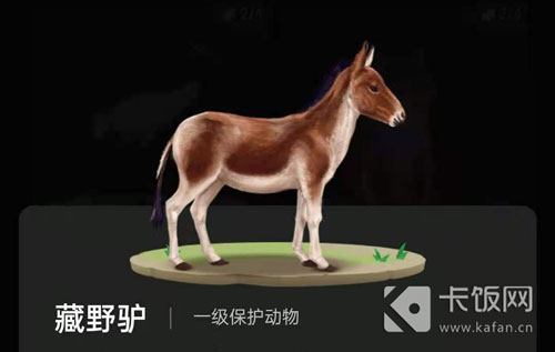 蚂蚁森林动物怎么获得。