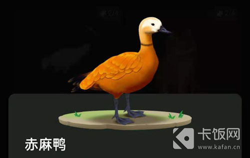 蚂蚁森林动物怎么获得。