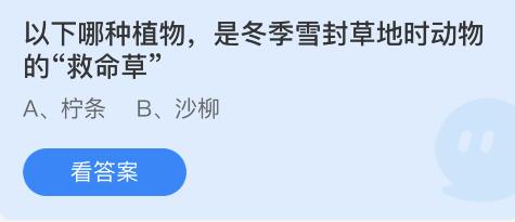 蚂蚁庄园2022年3月12日答案最新