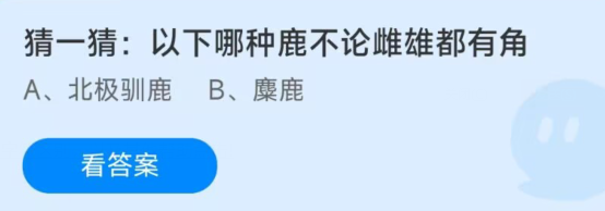 蚂蚁庄园2022年12月31日答案最新