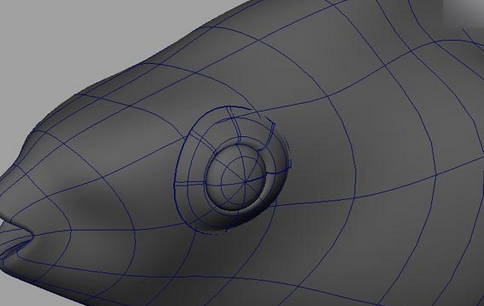 maya制作鱼模型的操作流程。
