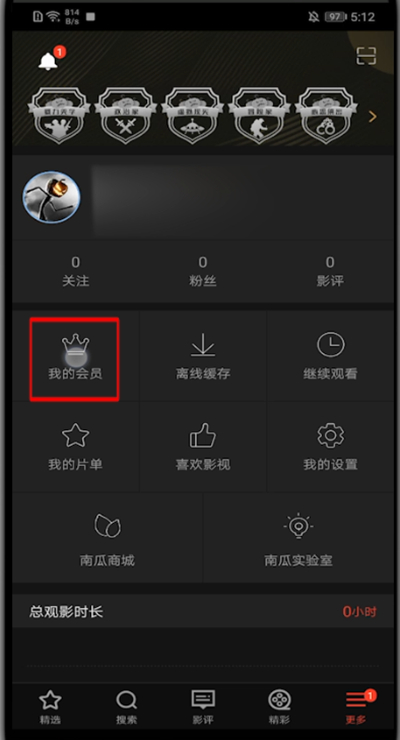 南瓜电影怎么充会员。