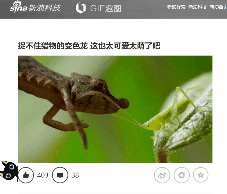 那么多表情包哪找的