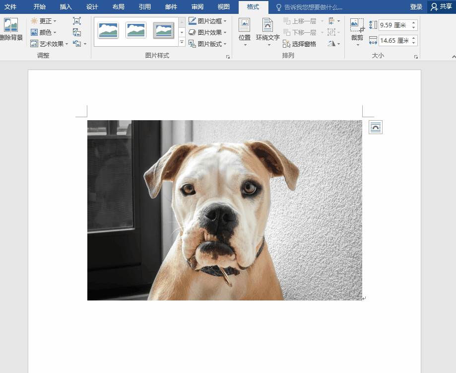 Office软件抠图方法整理，又快又方便，适合懒人