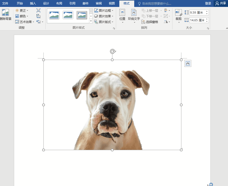 Office软件抠图方法整理，又快又方便，适合懒人