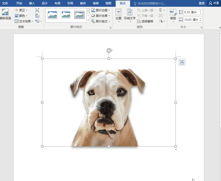 Office软件抠图方法整理，又快又方便，适合懒人