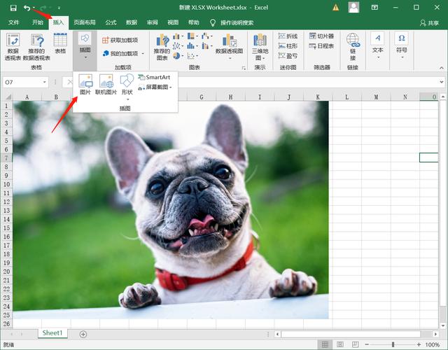 Office软件抠图方法整理，又快又方便，适合懒人