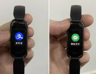 OPPO手环活力版有哪些功能。
