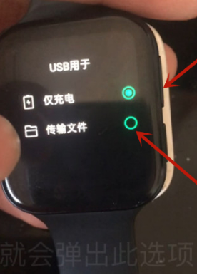 oppo watch2怎么安装第三方软件。