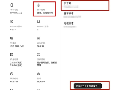 opporeno6开发者选项在什么地方。