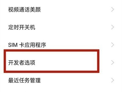 opporeno6开发者选项在什么地方。