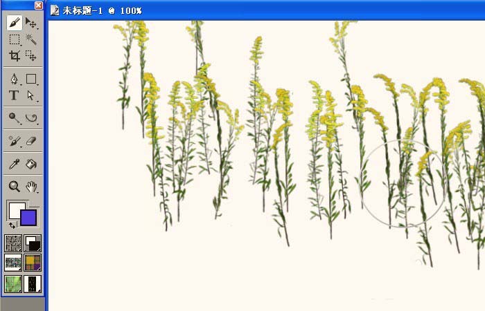 Painter制作花朵的图文操作。