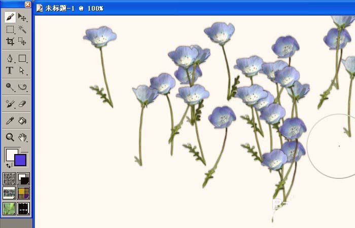 Painter制作花朵的图文操作。
