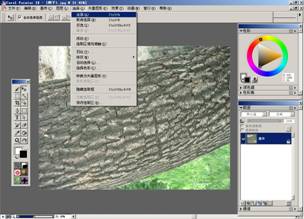 Painter自定义花纹的图文操作。