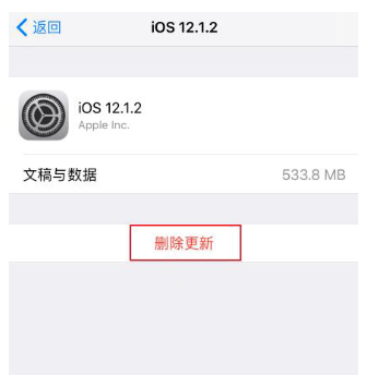 屏蔽iOS更新还是出现小红点,一键消除