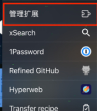 苹果safari扩展选项在哪。