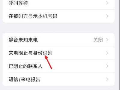 苹果手机电话拦截功能在哪里设置。