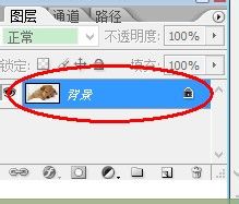 photoshop进行图像旋转的详细操作。