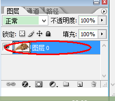 photoshop进行图像旋转的详细操作。