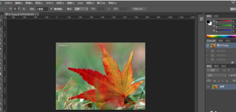 Photoshop打造出下雨效果的操作流程。