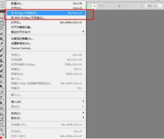 photoshop使用Bridge的操作过程。