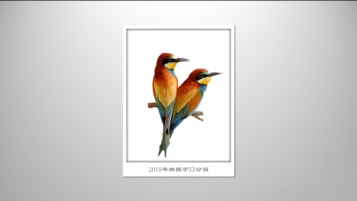 PPT制作立体感极强边框的图文操作。