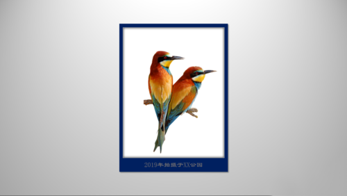 PPT制作立体感极强边框的图文操作。