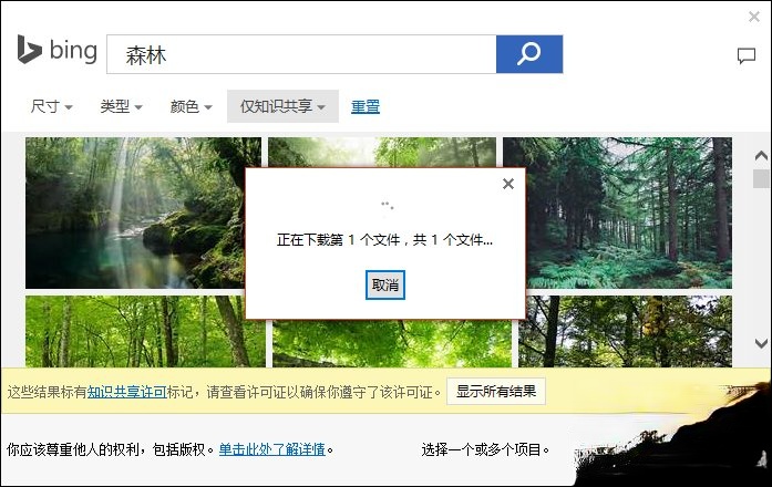 PPT背景图片怎么插入。