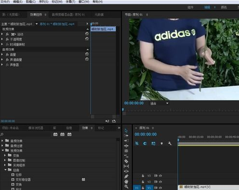 Premiere打造扭曲视频效果的操作流程。