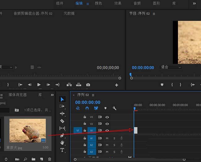 premiere创建文本图层的操作教程。