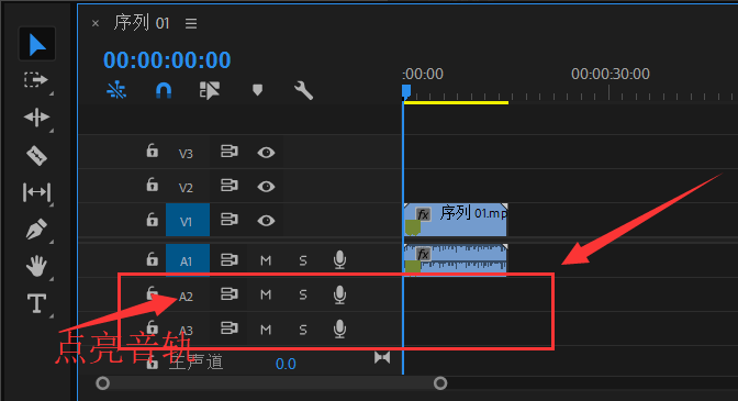 Premiere支持录制视频画外音，你用过没