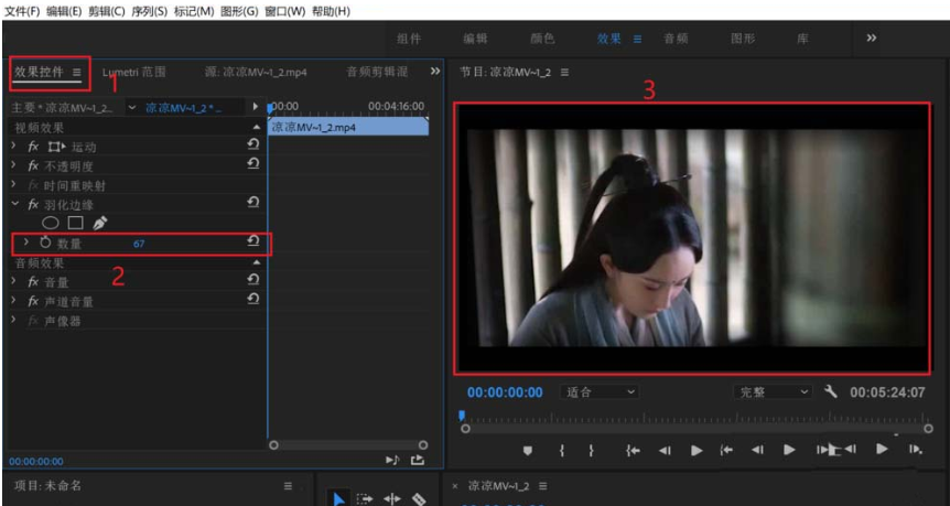 Premiere操作教学之羽化视频，专为新手准备 