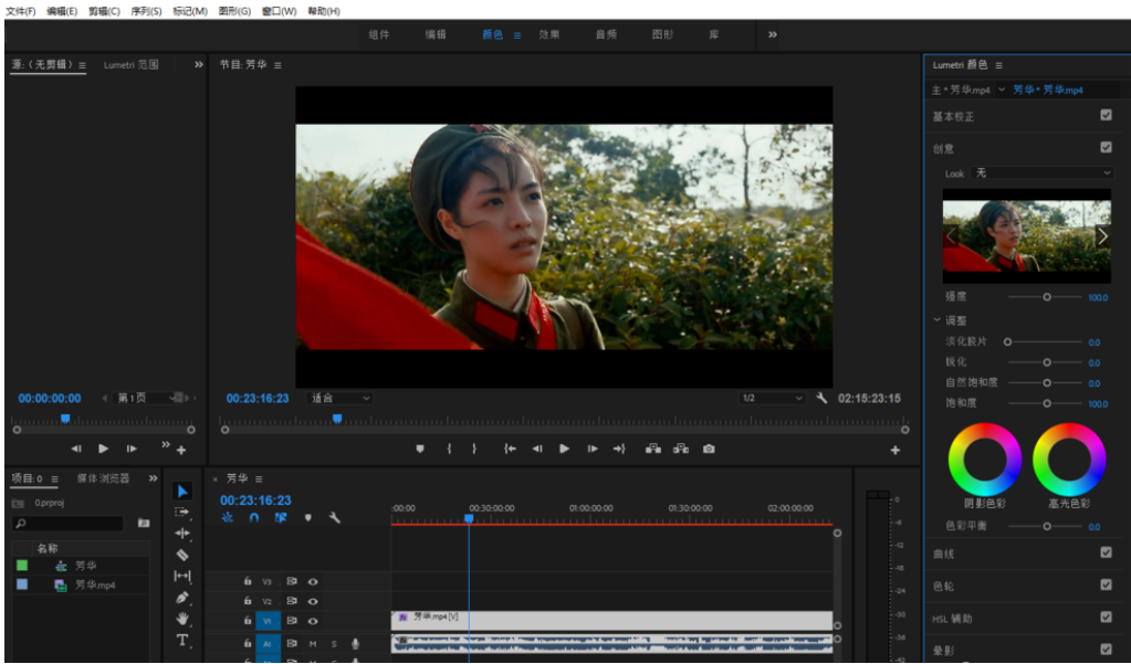 Premiere视频调色处理，将彩色画面转变成黑白色