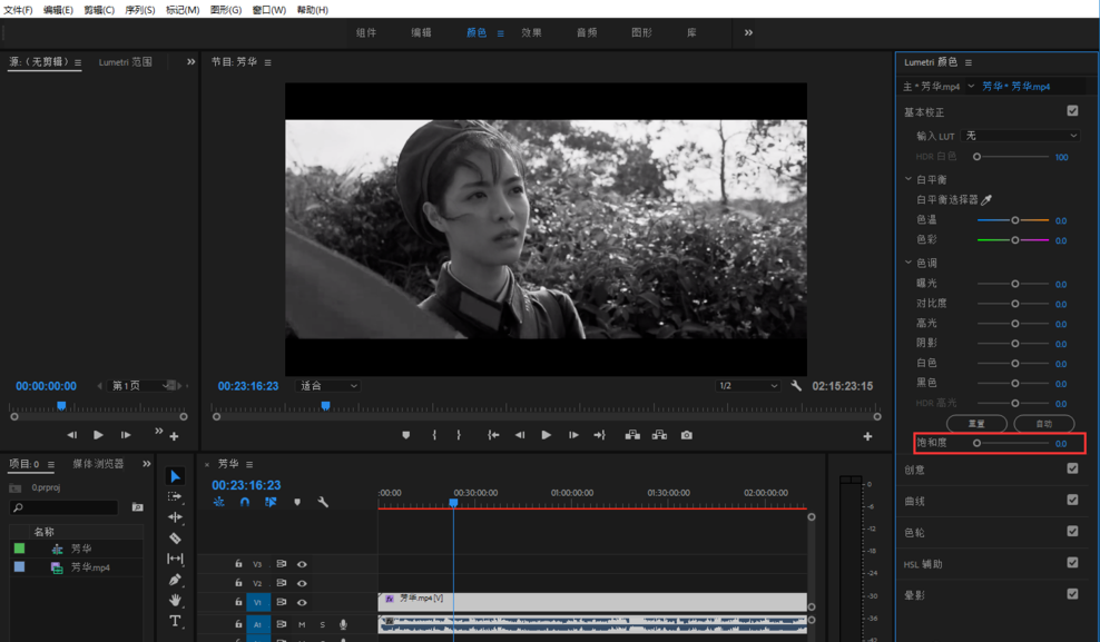 Premiere视频调色处理，将彩色画面转变成黑白色