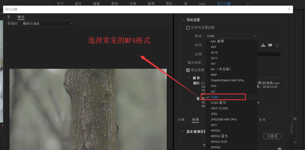 Premiere导出视频时可以“压缩”体积，你知道吗