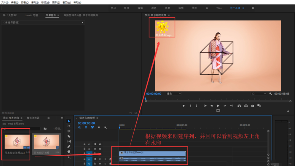 Premiere视频处理之消除水印，一共两招