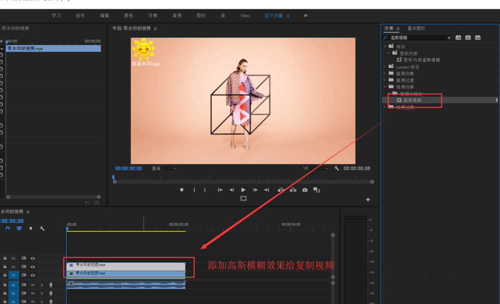 Premiere视频处理之消除水印，一共两招
