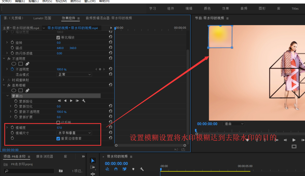 Premiere视频处理之消除水印，一共两招