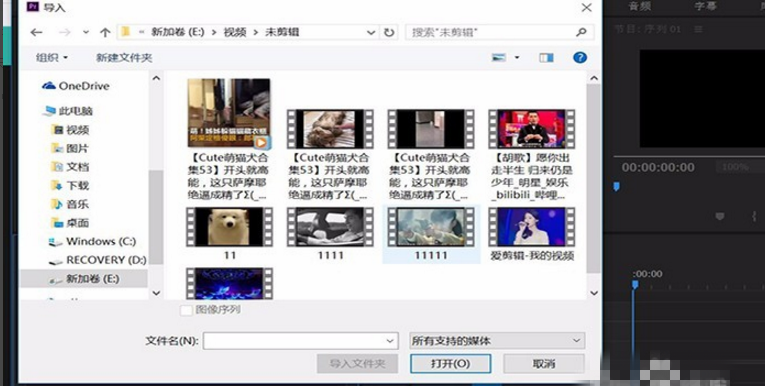 Premiere 添加视频轨道的操作方法演示。