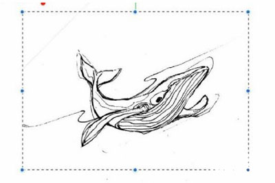 procreate怎么移动局部。