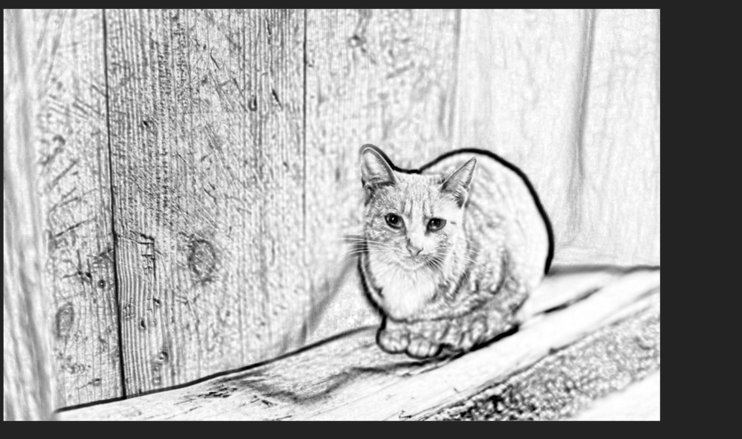 PS教程讲解：快速提取图片线条