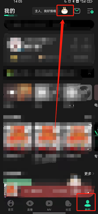 qq音乐宠物明信片在哪看