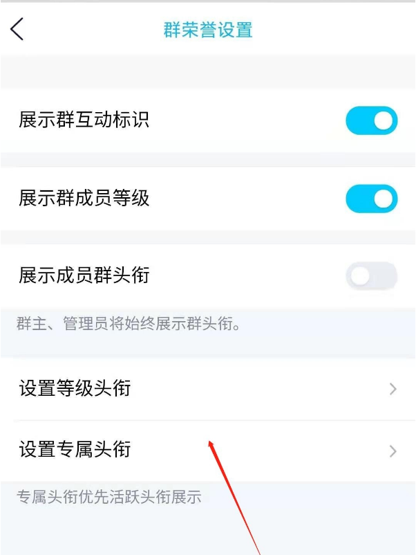 qq群主设置头衔怎么做 qq群主给成员添加头衔步骤一览。