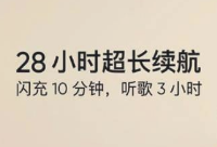 realme真我BudsAir2Neo支持降噪吗。