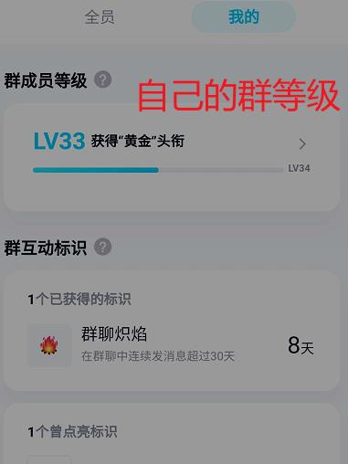 如何查询自己在QQ群中的等级。