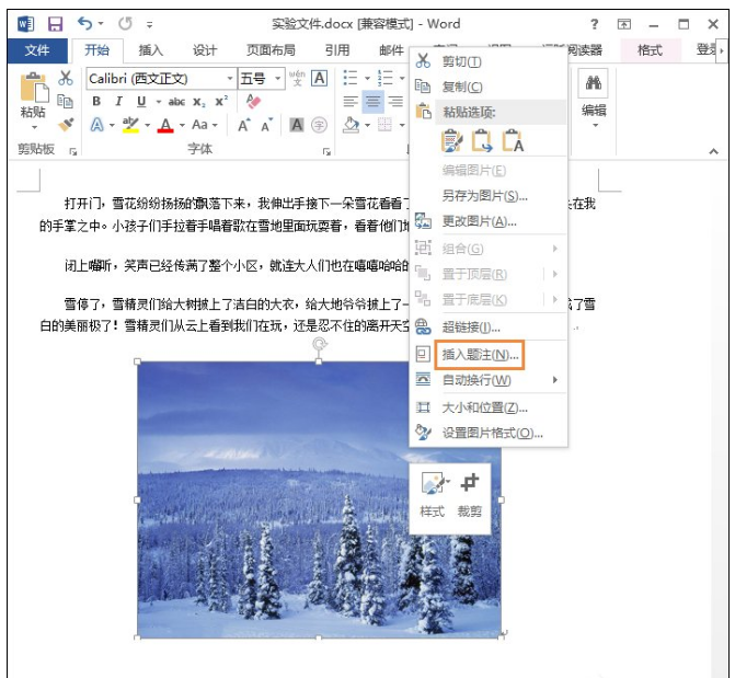 如何对 Word 图片添加注解说明。