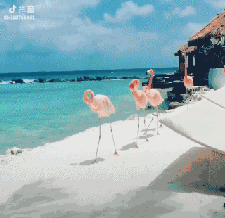 如何让抖音视频上精选