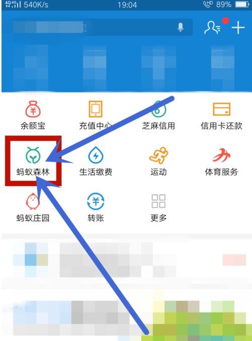 如何设置不显示支付宝绿色能量数值