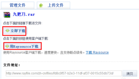 如何使用Raysource下载文件
